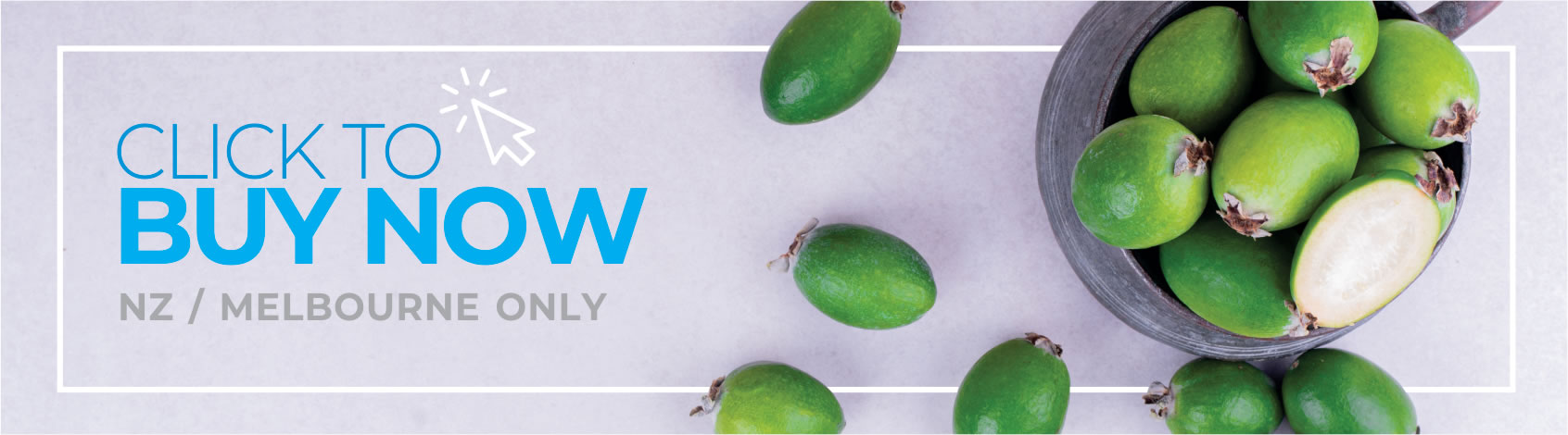 Buy Zeijoa Feijoas now